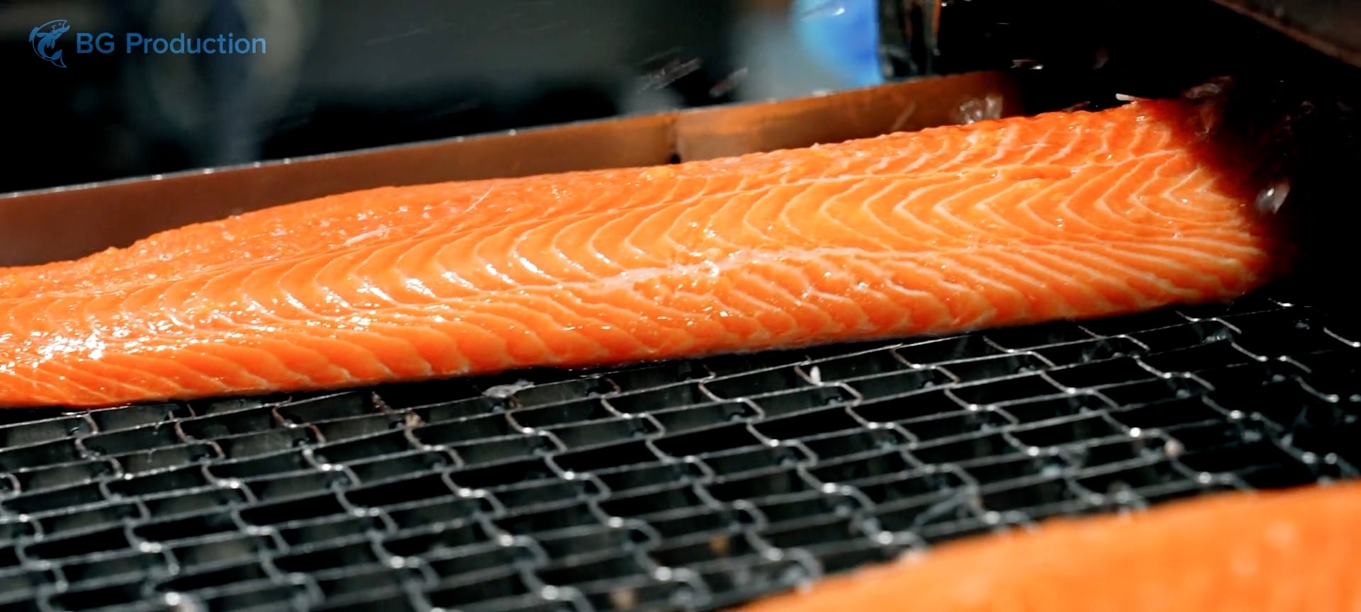 North Atlantic salmon fillet on the BG Production line