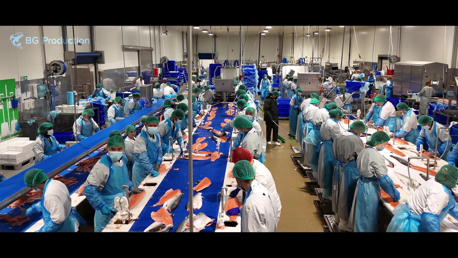 BG Production processing hall
