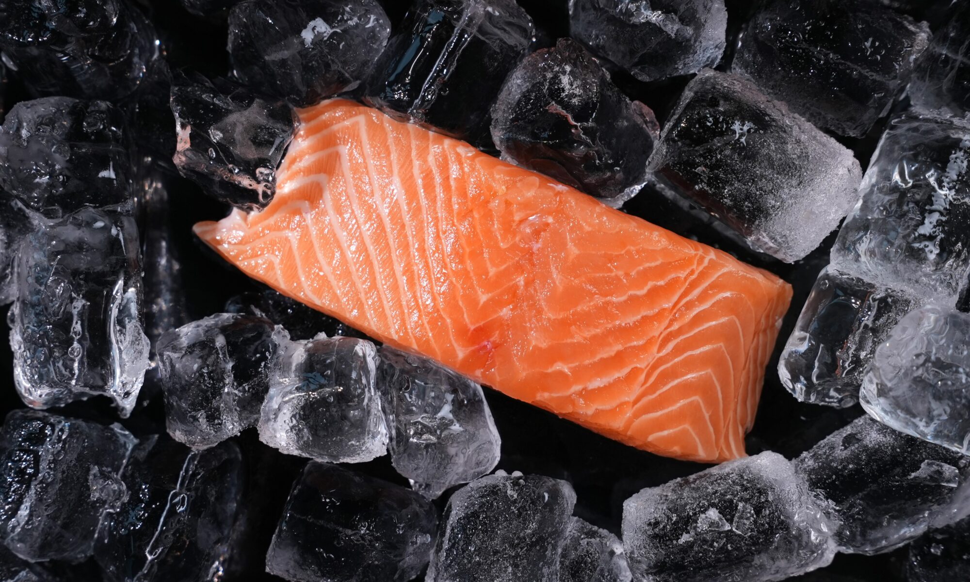 Atlantic Salmon Portions
